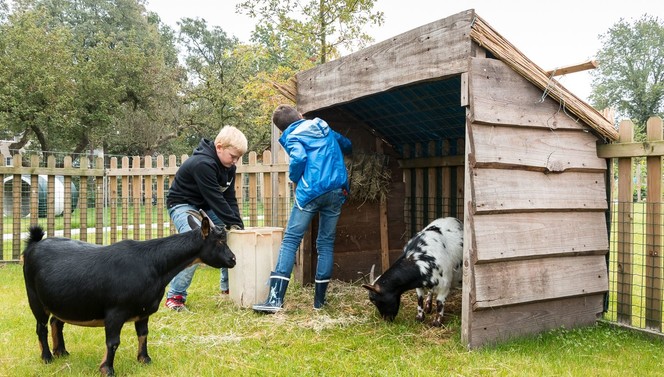 Dierentuin