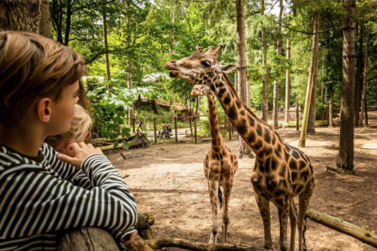 Kids activiteiten Leusden