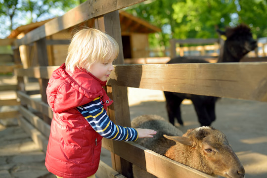 Kinderboerderij