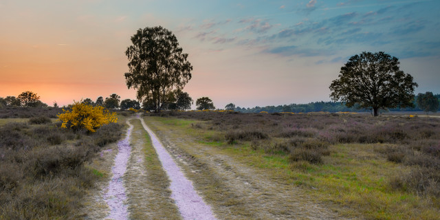 Utrechtse Heuvelrug