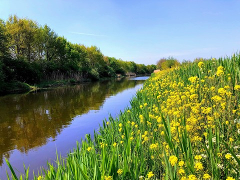 Valleikanaal