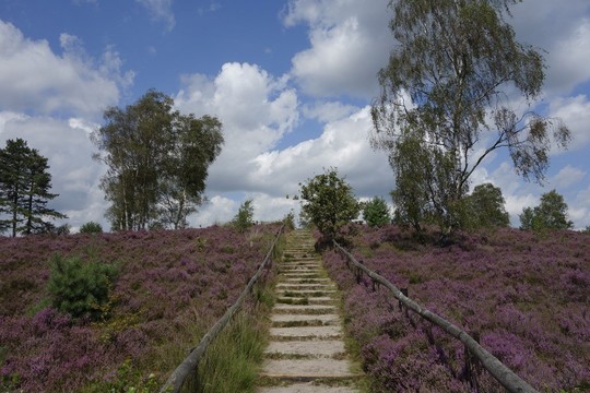 Voorjaarsuitjes in Leusden